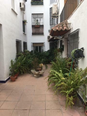 El Rincon De La Juderia Cordoba